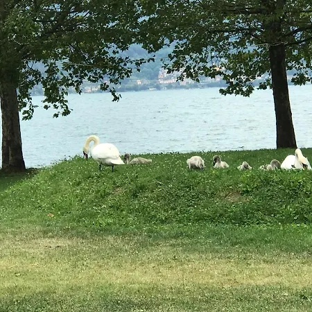 Apartment Appartamento Lake Como *